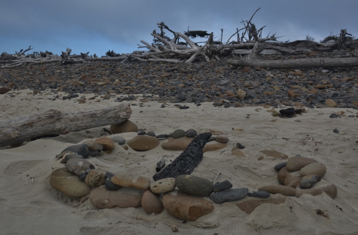 driftwood on Cape Meares Beach